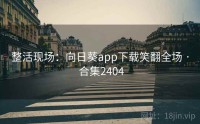 整活现场：向日葵app下载笑翻全场 · 合集2404